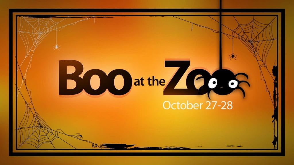 Boo at the Zoo Returns! Quad