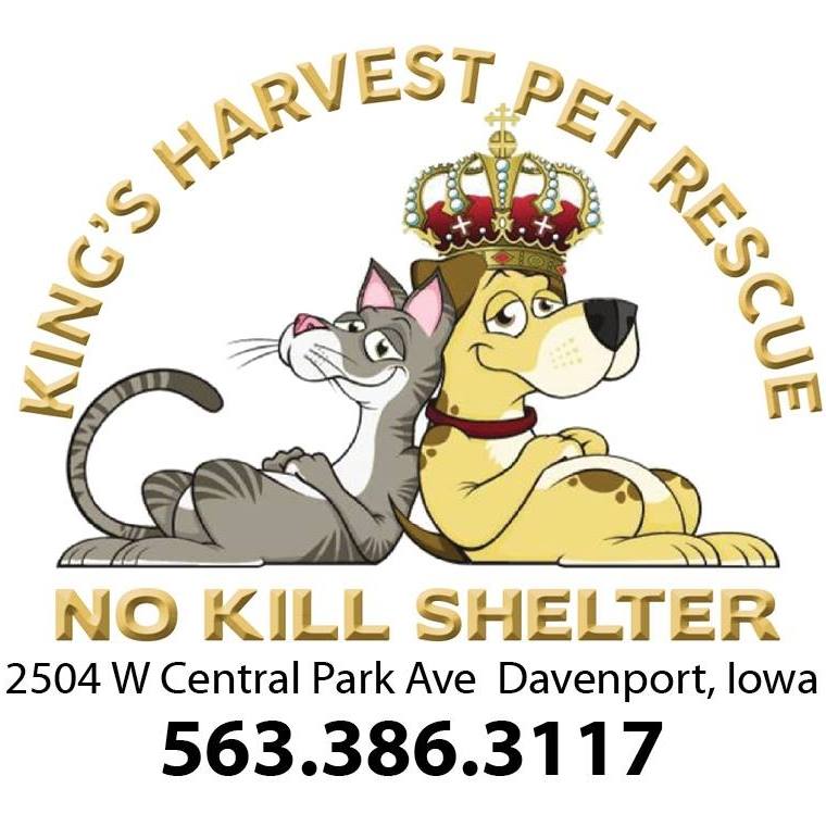 Rhythm City Giving Big To King’s Harvest Pet Rescue | Quad Cities ...