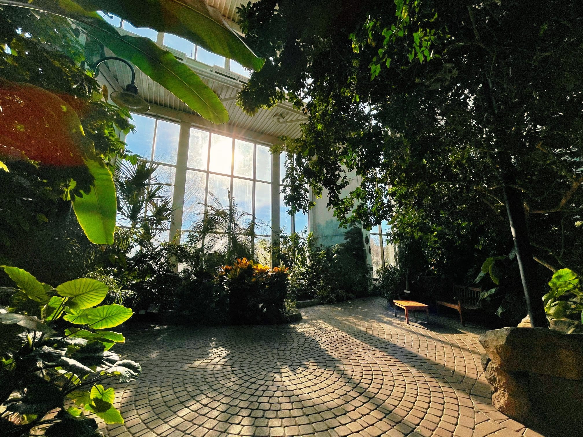 Quad City Botanical Center Poised to Grow Again In a Busy 2021 | Quad 